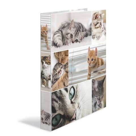 Ringbuch A4 Karton 2D Katzen