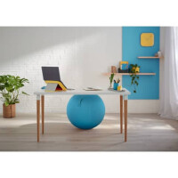 Sitzball Ergo Cosy - Ø 65 cm, blau