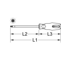 ERGOTORQUEplus Schraubendreher Torx mit Kugelkopf, T25