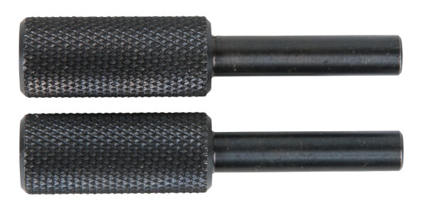 Arretierdorn Ø 6,6 mm (2)