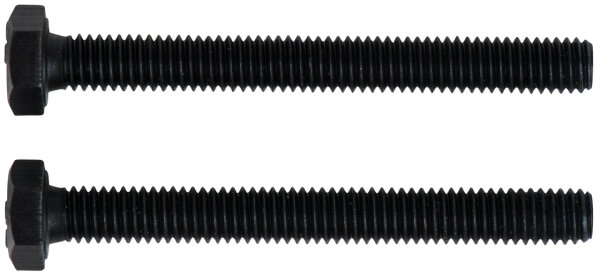 Fixierschrauben-Set M6x55mm, 2-tlg