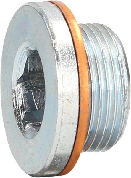 Ölablassschraube M24 x 1,5 x 16 mm für Renault