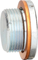 Ölablassschraube M24 x 1,5 x 16 mm für Renault