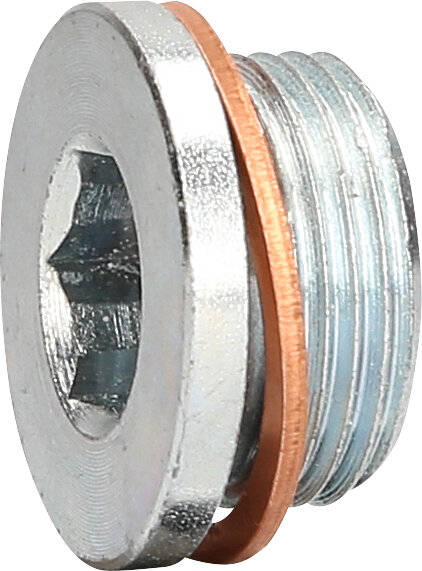 Ölablassschraube M22 x 1,5 x 13 mm für Renault