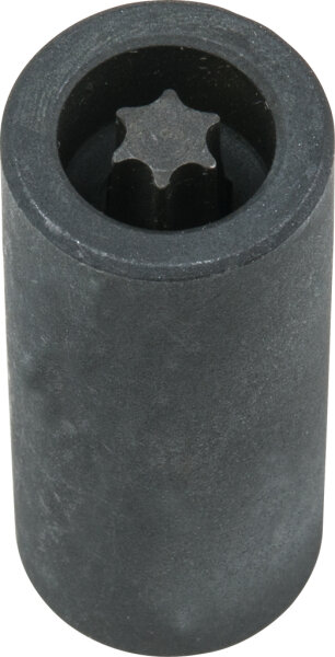 3/8" Stecknuss für Torx-Schrauben an der Bremsscheibe, T40