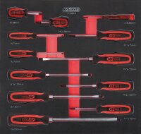 SCS ERGOTORQUEplus Schraubendreher-Satz, 12-tlg in 2/3...