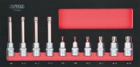 SCS Bit-Stecknuss-Satz, XZN, 10-tlg in 1/3 Systemeinlage