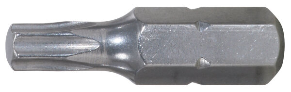 1/4" EDELSTAHL Bit Torx, 25mm, T10