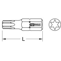 1/4" EDELSTAHL Bit Torx, 25mm, T15