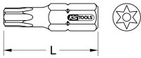 1/4" EDELSTAHL Bit, 25mm, TB10