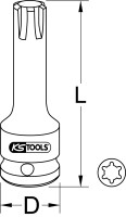 1/2" Kraft-Bit-Stecknuss für RIBE-Schrauben, M6