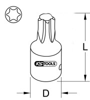 1/2" Kraft-Bit-Stecknuss Torx, kurz, T80