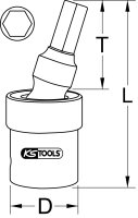 1/2" Kraft-Kugelgelenk-Bit-Stecknuss, 19mm