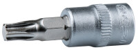 1/4" Bit-Stecknuss Torx, T20