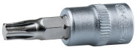 1/4" Bit-Stecknuss Torx, T25