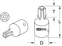 1/4" Bit-Stecknuss, Fünfstern mit Stirnlochbohrung, TS10