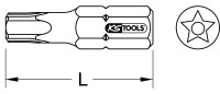 1/4" Bit für Fünfstern, Bohrung, TS45