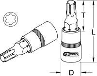 1/4" Bit-Stecknuss TorxPlus, IP10