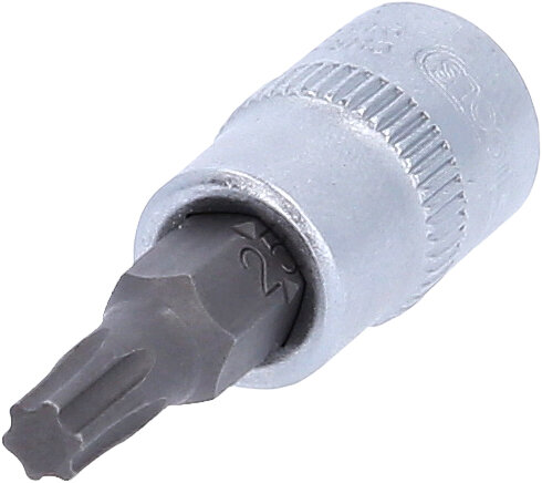 1/4" Bit-Stecknuss TorxPlus, IP25