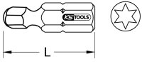 1/4" Bit Torx, 25mm, Kugelkopf, T10