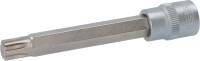 3/8" Bit-Stecknuss für RIBE-Schrauben, M10, 100 mm