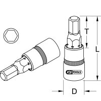 BRONZEplus Bit-Stecknuss Innensechskant 1" 17 mm