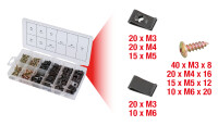 Sortiment Karosseriemuttern & Schrauben, 170-tlg