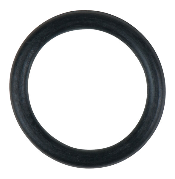 O-Ring für Umschaltventil