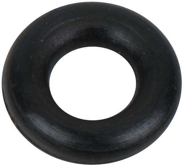 O-Ring P6