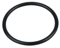 O-Ring (AS125)