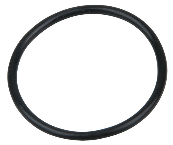 O-Ring (S30)